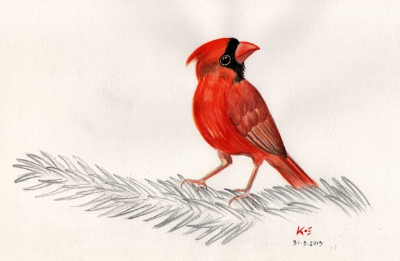 Red Cardinal (Watercolor Painting)