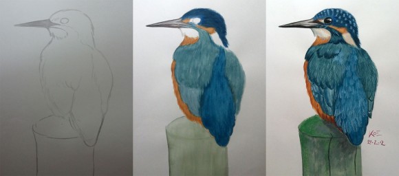 Kingfisher Painting - Steps 